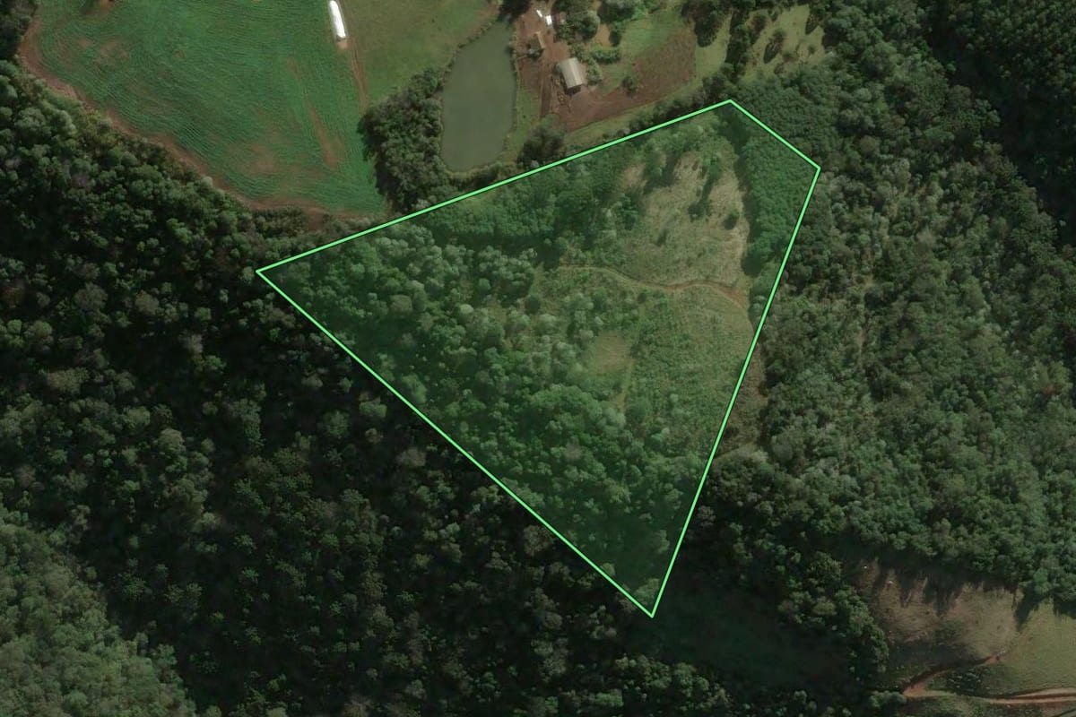 Imagem de satélite do imóvel rural em Arabutã (SC), com o contorno declarado no CAR desenhado por cima.
