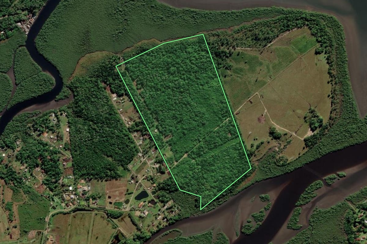 Imagem de satélite do imóvel rural em Araquari (SC), com o contorno declarado no CAR desenhado por cima.