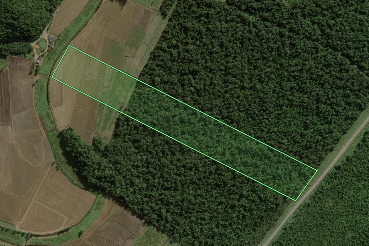 Imagem de satélite do imóvel rural em Araquari (SC), com o contorno declarado no CAR desenhado por cima.
