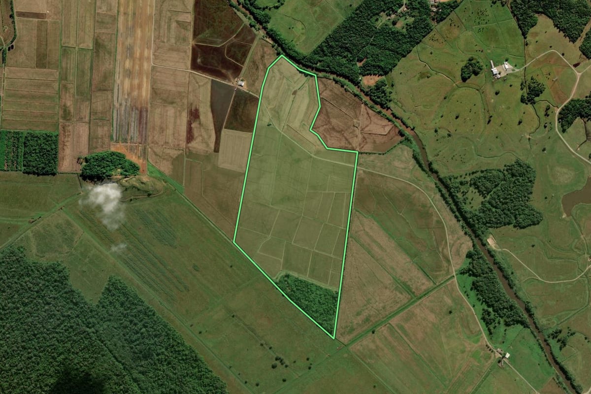 Imagem de satélite do imóvel rural em Araquari (SC), com o contorno declarado no CAR desenhado por cima.
