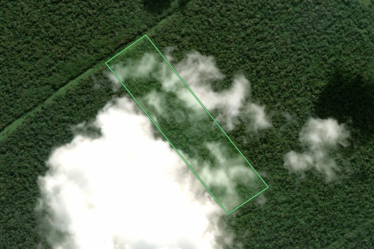 Imagem de satélite do imóvel rural em Araquari (SC), com o contorno declarado no CAR desenhado por cima.