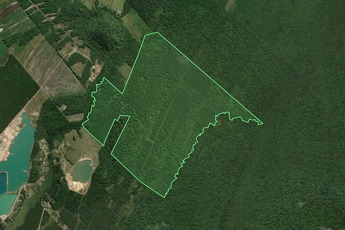 Imagem de satélite do imóvel rural em Araquari (SC), com o contorno declarado no CAR desenhado por cima.