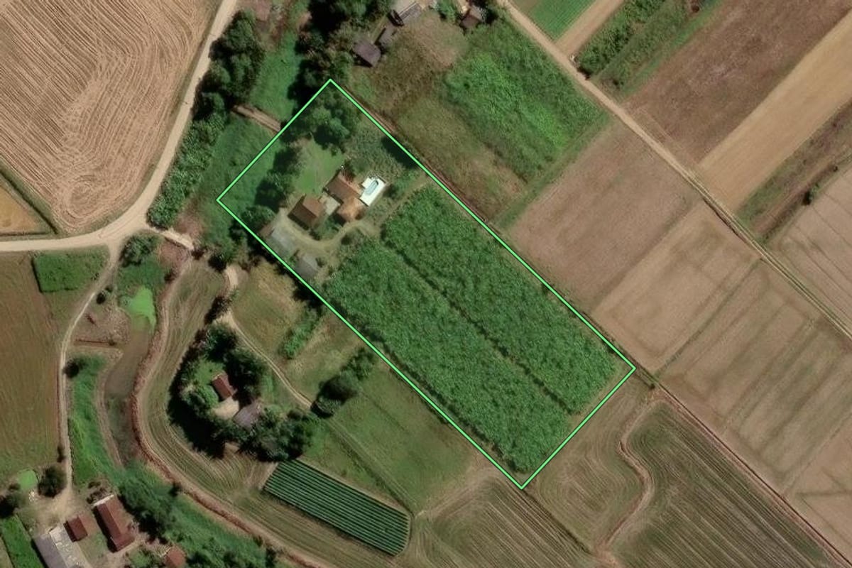 Imagem de satélite do imóvel rural em Araquari (SC), com o contorno declarado no CAR desenhado por cima.