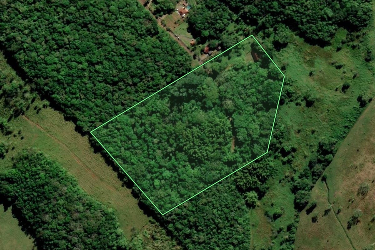 Imagem de satélite do imóvel rural em Araquari (SC), com o contorno declarado no CAR desenhado por cima.