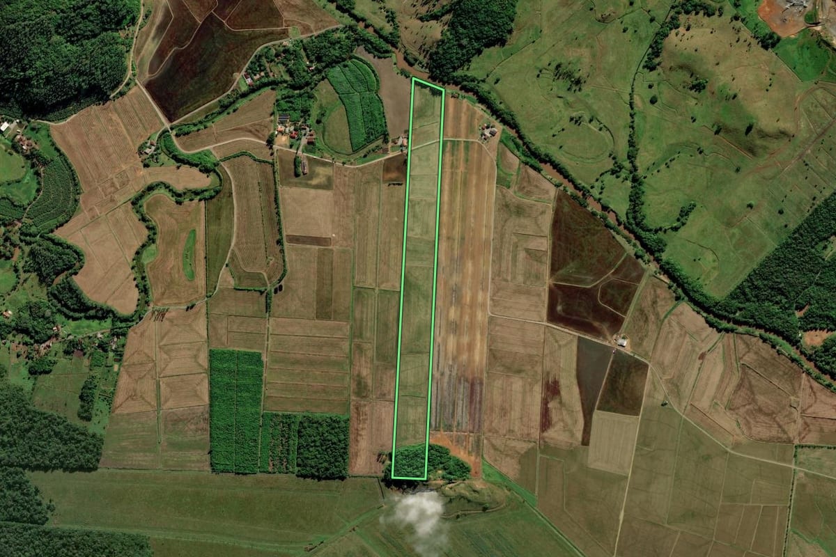 Imagem de satélite do imóvel rural em Araquari (SC), com o contorno declarado no CAR desenhado por cima.