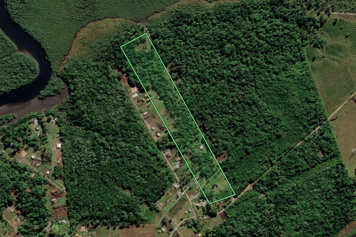 Imagem de satélite do imóvel rural em Araquari (SC), com o contorno declarado no CAR desenhado por cima.