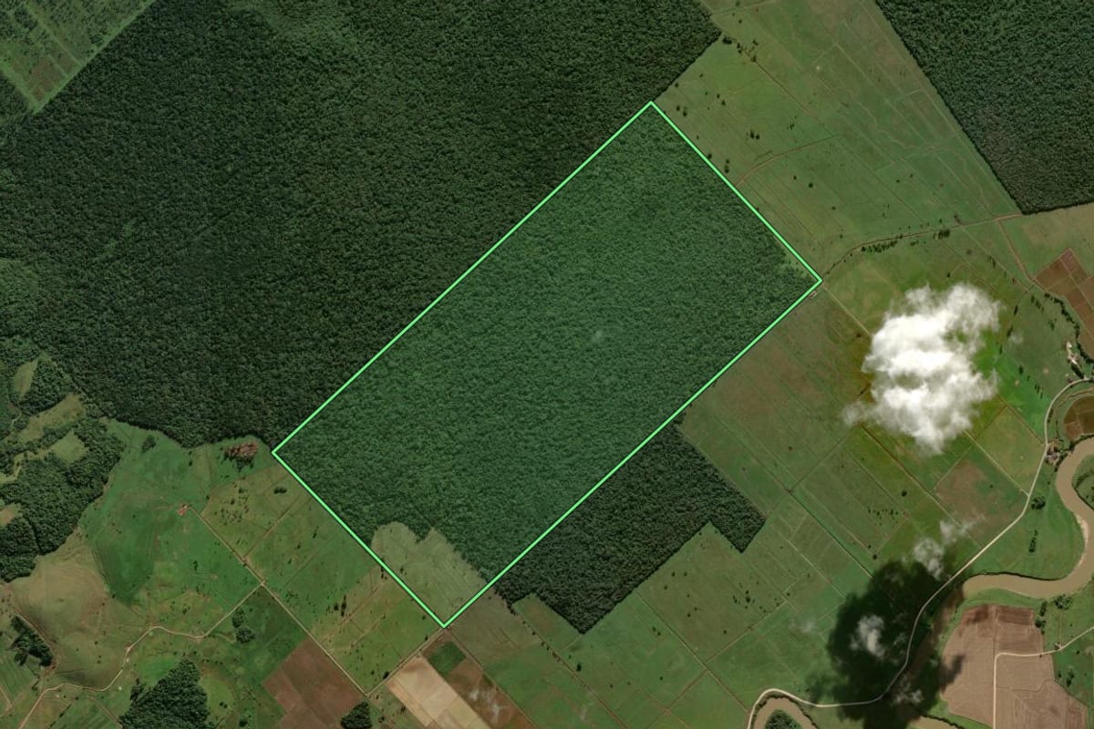 Imagem de satélite do imóvel rural em Araquari (SC), com o contorno declarado no CAR desenhado por cima.