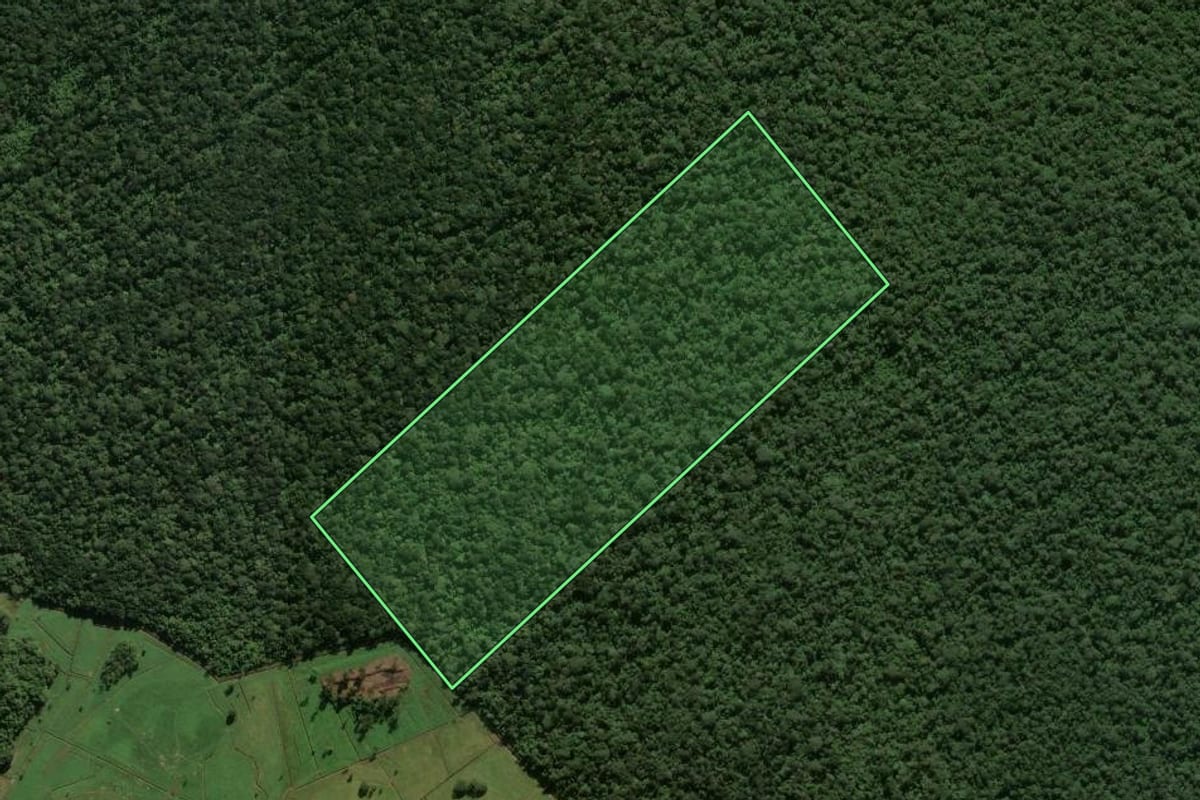 Imagem de satélite do imóvel rural em Araquari (SC), com o contorno declarado no CAR desenhado por cima.