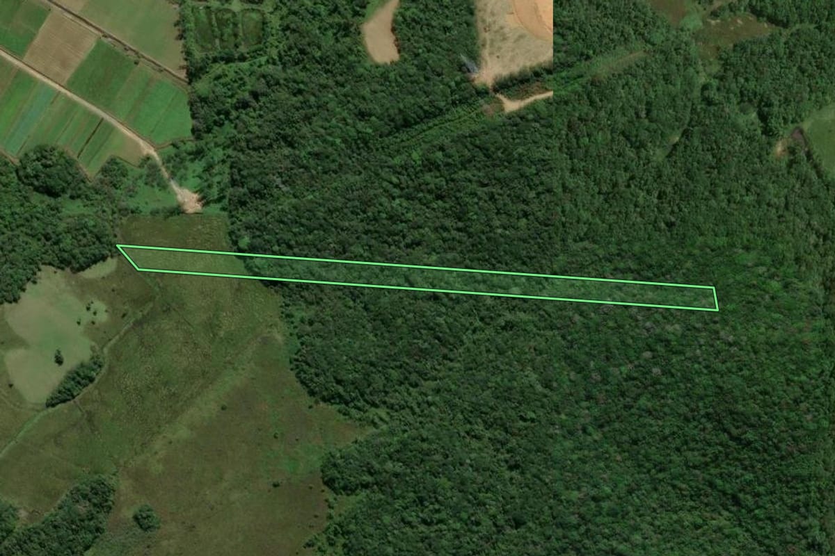 Imagem de satélite do imóvel rural em Araquari (SC), com o contorno declarado no CAR desenhado por cima.