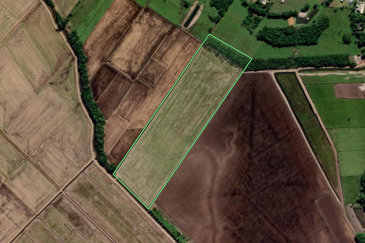 Imagem de satélite do imóvel rural em Araranguá (SC), com o contorno declarado no CAR desenhado por cima.