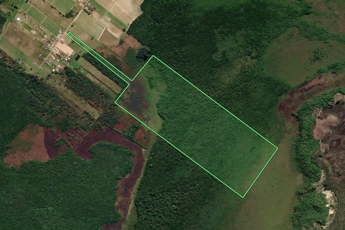 Imagem de satélite do imóvel rural em Araranguá (SC), com o contorno declarado no CAR desenhado por cima.