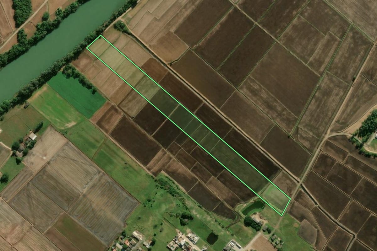 Imagem de satélite do imóvel rural em Araranguá (SC), com o contorno declarado no CAR desenhado por cima.