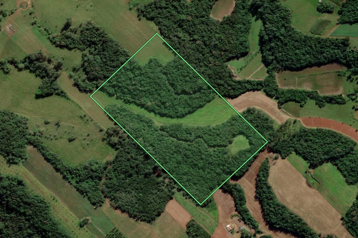 Imagem de satélite do imóvel rural em Araranguá (SC), com o contorno declarado no CAR desenhado por cima.