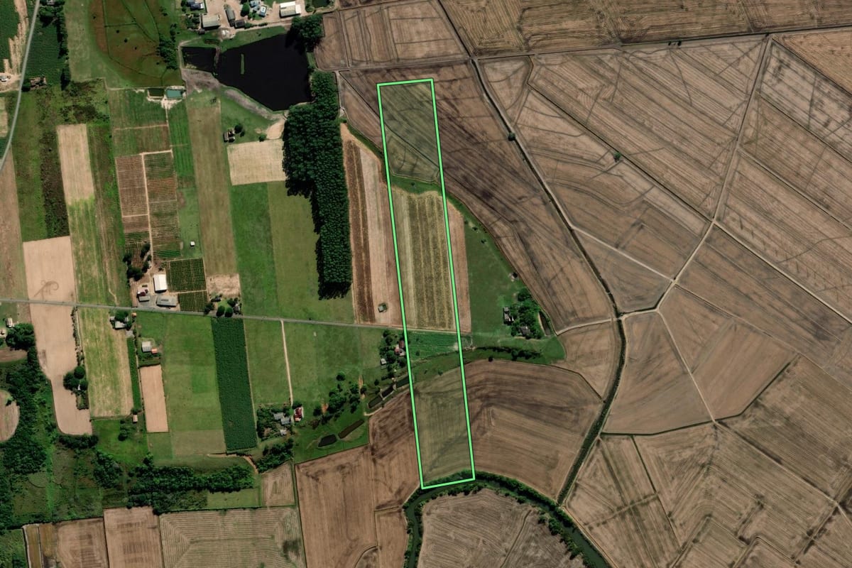 Imagem de satélite do imóvel rural em Araranguá (SC), com o contorno declarado no CAR desenhado por cima.