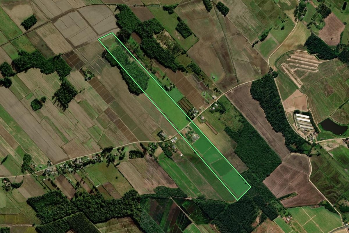 Imagem de satélite do imóvel rural em Araranguá (SC), com o contorno declarado no CAR desenhado por cima.