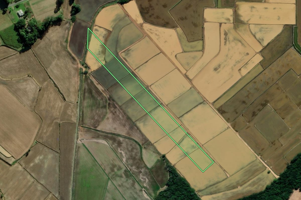 Imagem de satélite do imóvel rural em Araranguá (SC), com o contorno declarado no CAR desenhado por cima.