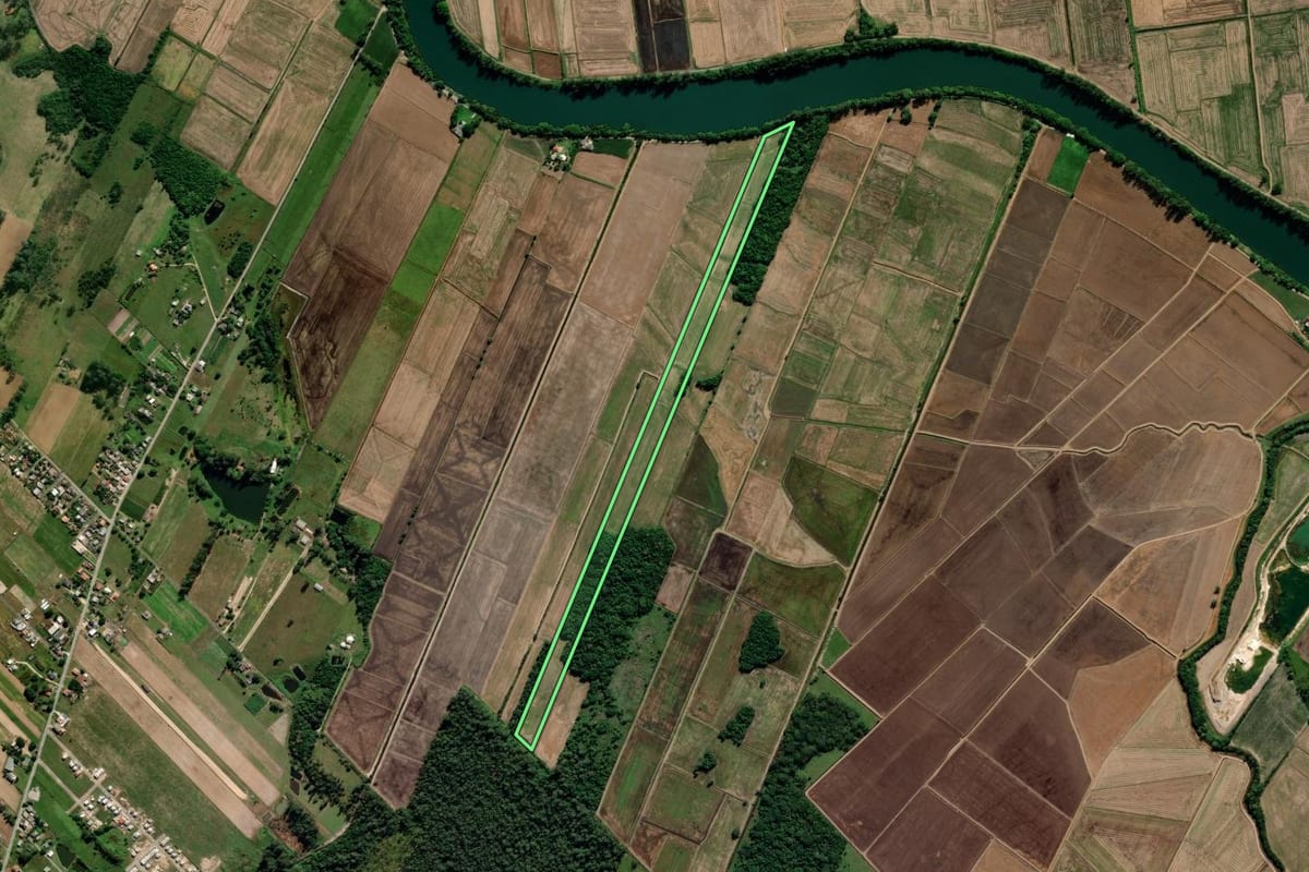 Imagem de satélite do imóvel rural em Araranguá (SC), com o contorno declarado no CAR desenhado por cima.