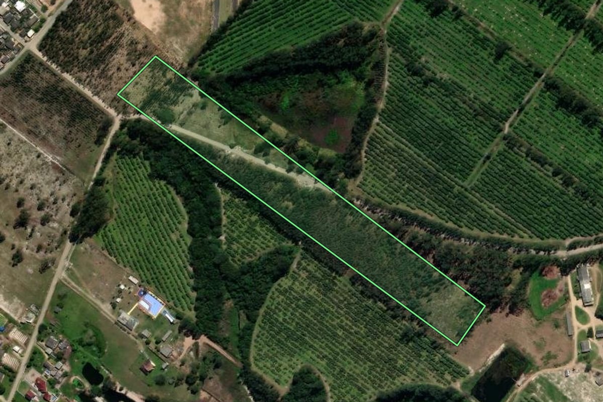 Imagem de satélite do imóvel rural em Araranguá (SC), com o contorno declarado no CAR desenhado por cima.