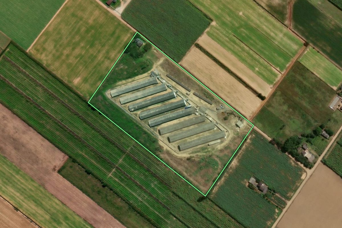 Imagem de satélite do imóvel rural em Araranguá (SC), com o contorno declarado no CAR desenhado por cima.