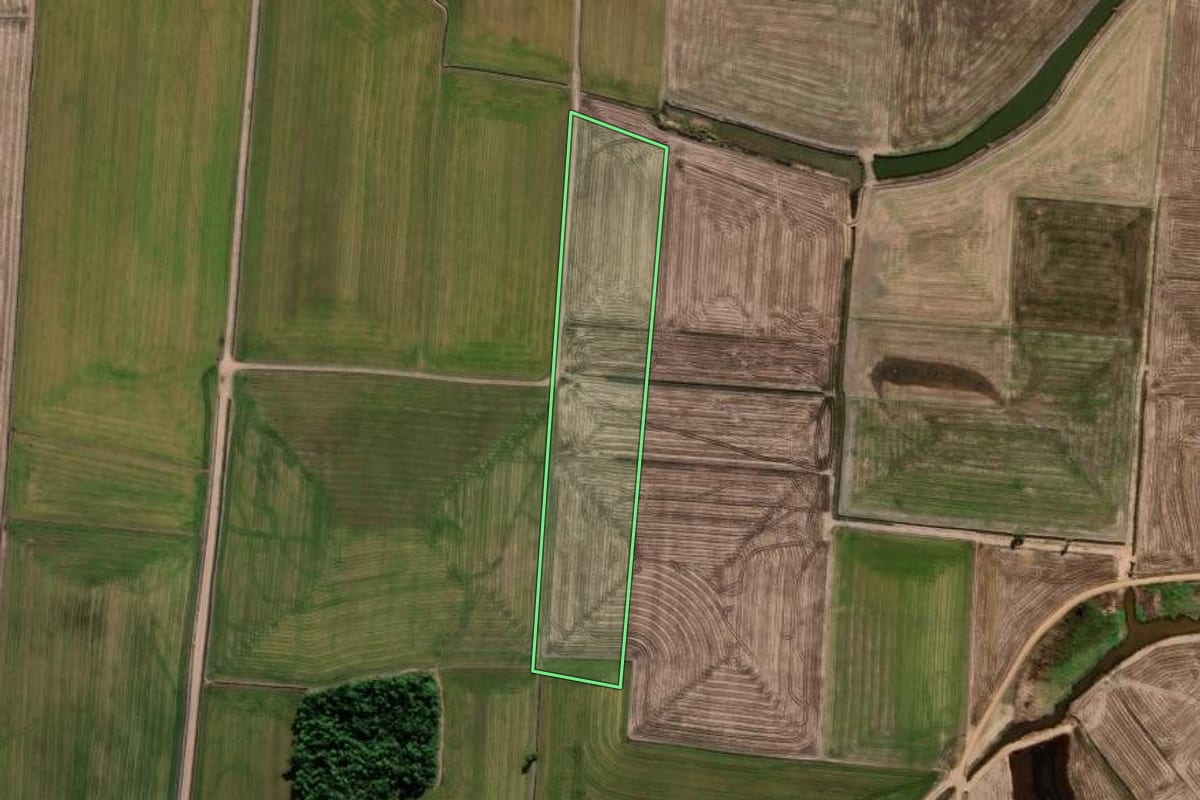 Imagem de satélite do imóvel rural em Araranguá (SC), com o contorno declarado no CAR desenhado por cima.