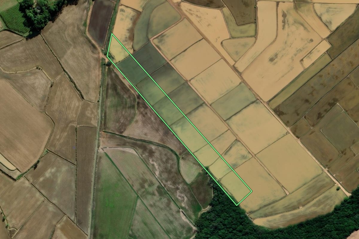 Imagem de satélite do imóvel rural em Araranguá (SC), com o contorno declarado no CAR desenhado por cima.
