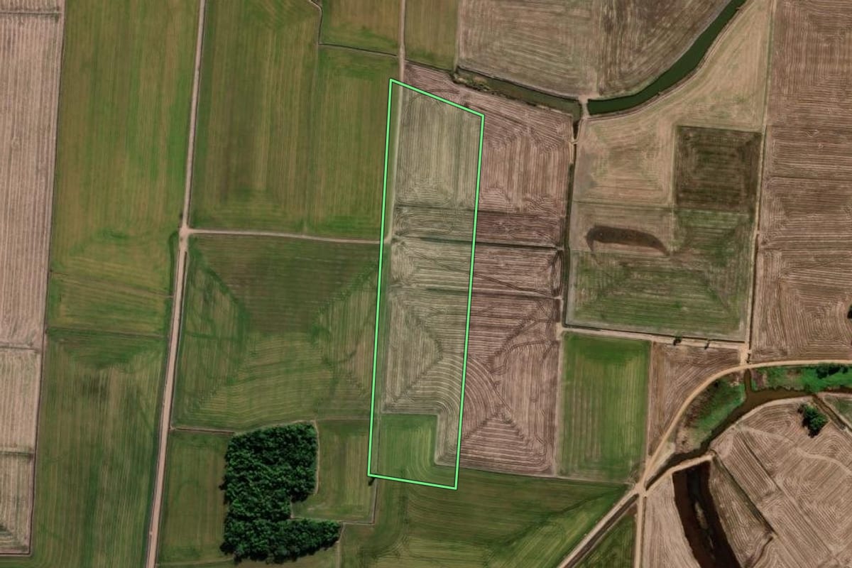 Imagem de satélite do imóvel rural em Araranguá (SC), com o contorno declarado no CAR desenhado por cima.