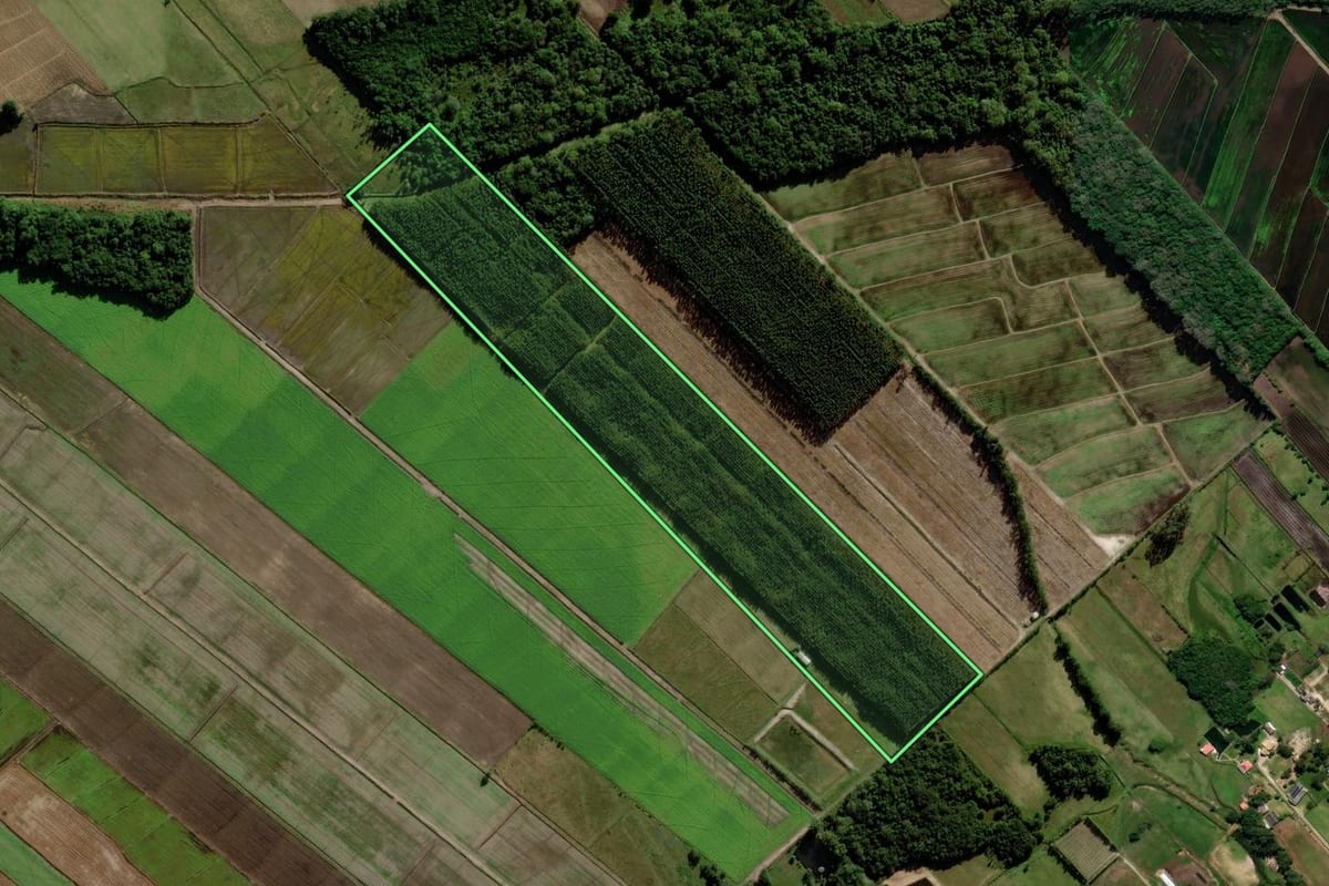 Imagem de satélite do imóvel rural em Araranguá (SC), com o contorno declarado no CAR desenhado por cima.