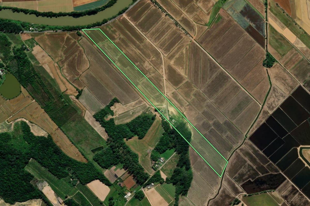 Imagem de satélite do imóvel rural em Araranguá (SC), com o contorno declarado no CAR desenhado por cima.