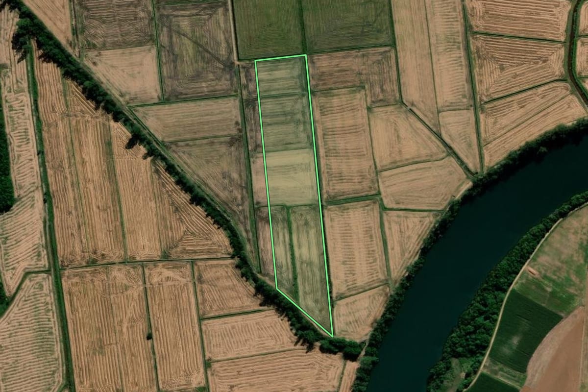 Imagem de satélite do imóvel rural em Araranguá (SC), com o contorno declarado no CAR desenhado por cima.