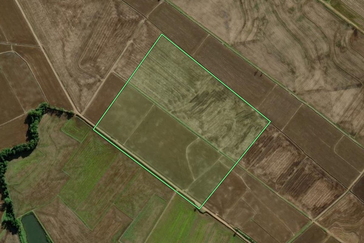 Imagem de satélite do imóvel rural em Araranguá (SC), com o contorno declarado no CAR desenhado por cima.