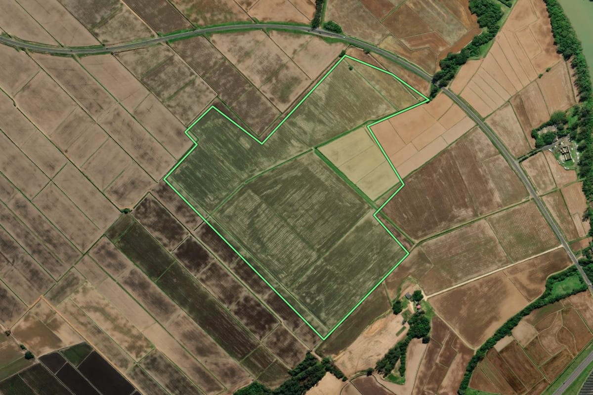 Imagem de satélite do imóvel rural em Araranguá (SC), com o contorno declarado no CAR desenhado por cima.