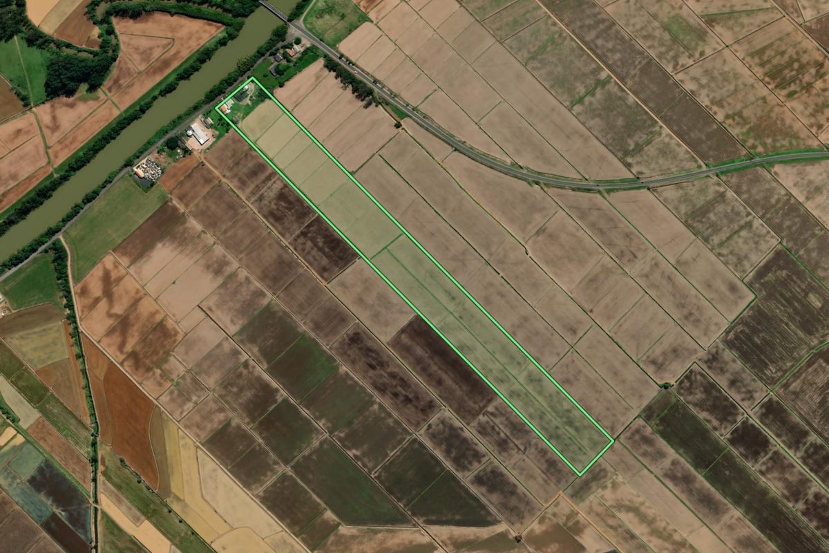 Imagem de satélite do imóvel rural em Araranguá (SC), com o contorno declarado no CAR desenhado por cima.
