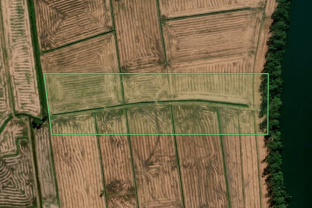 Imagem de satélite do imóvel rural em Araranguá (SC), com o contorno declarado no CAR desenhado por cima.
