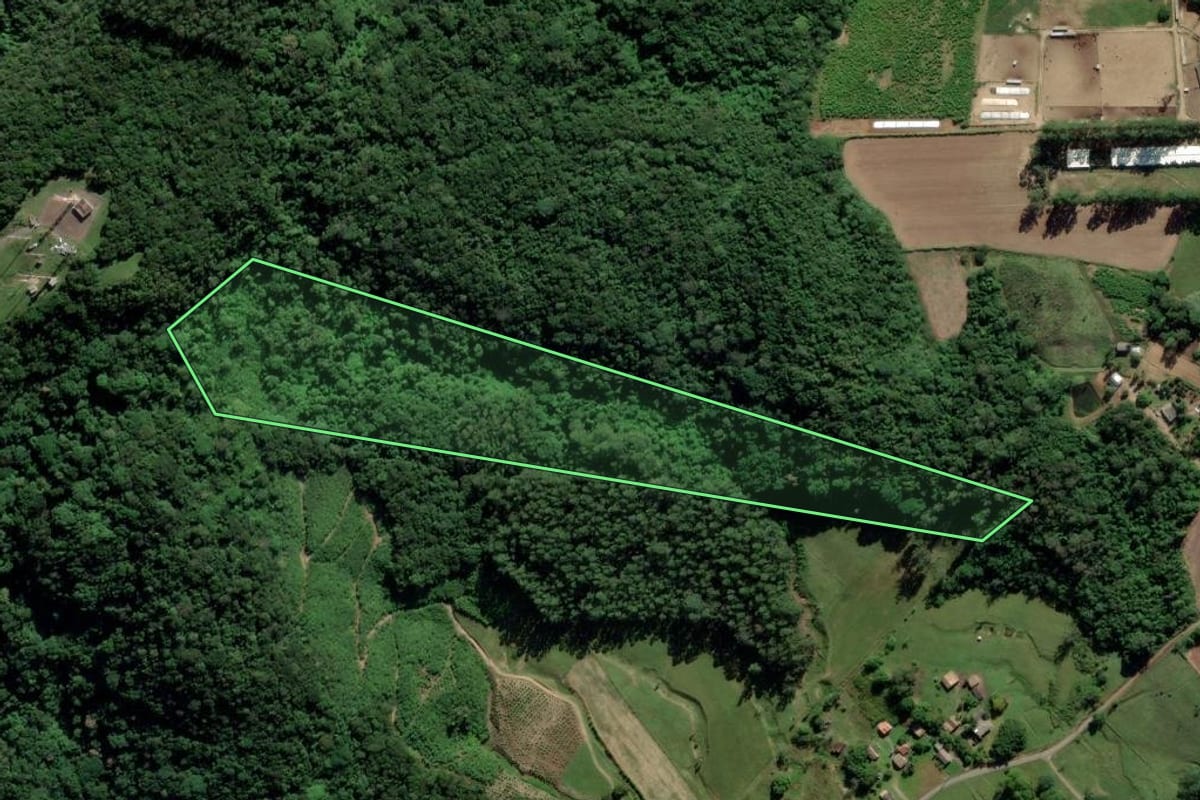 Imagem de satélite do imóvel rural em Araranguá (SC), com o contorno declarado no CAR desenhado por cima.
