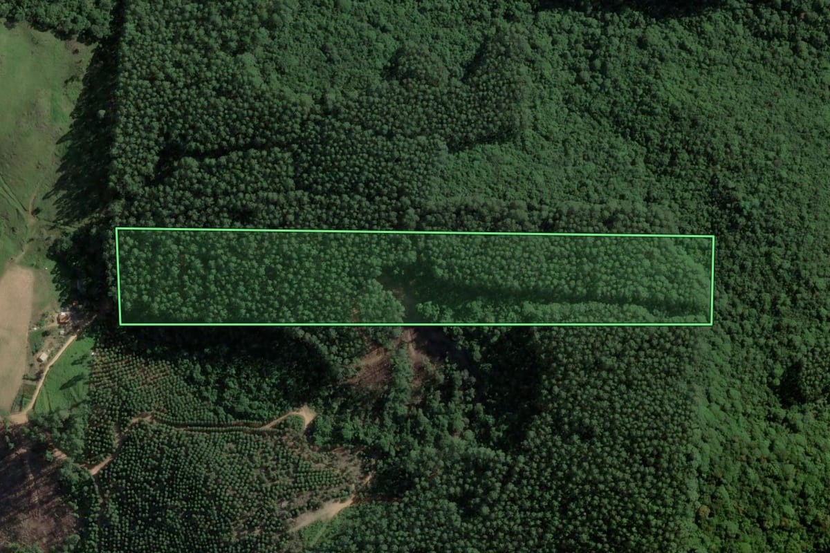Imagem de satélite do imóvel rural em Armazém (SC), com o contorno declarado no CAR desenhado por cima.