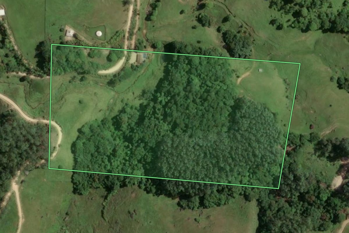 Imagem de satélite do imóvel rural em Armazém (SC), com o contorno declarado no CAR desenhado por cima.