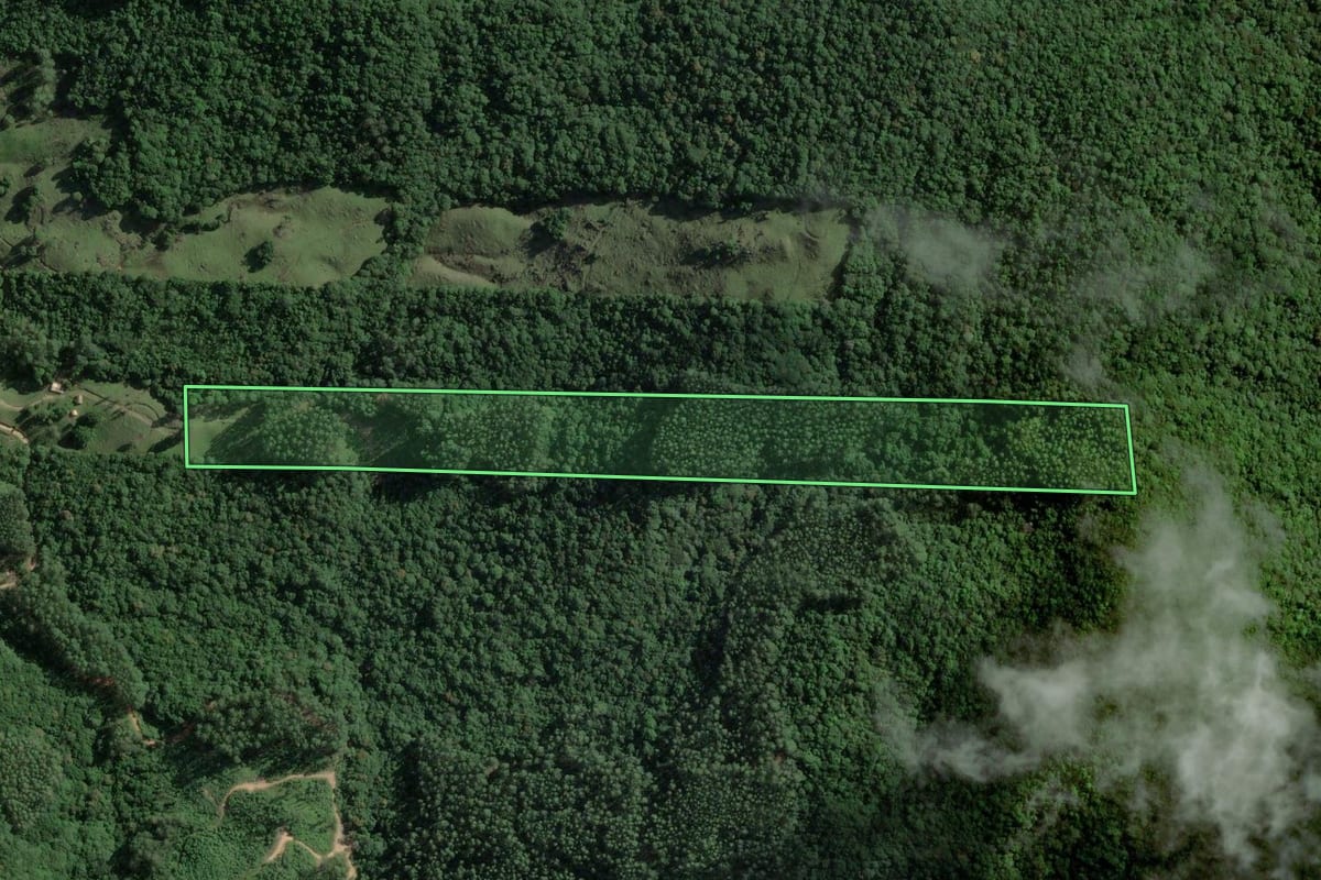 Imagem de satélite do imóvel rural em Armazém (SC), com o contorno declarado no CAR desenhado por cima.