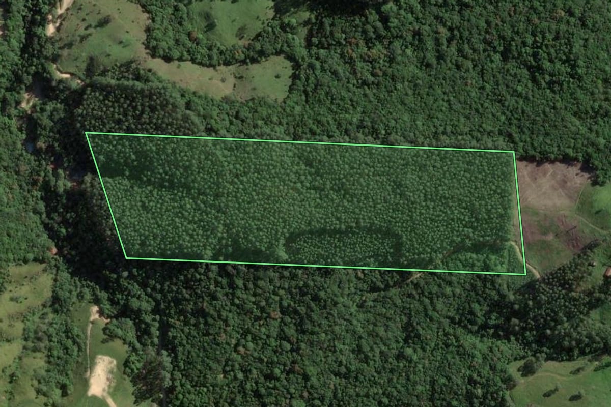 Imagem de satélite do imóvel rural em Armazém (SC), com o contorno declarado no CAR desenhado por cima.
