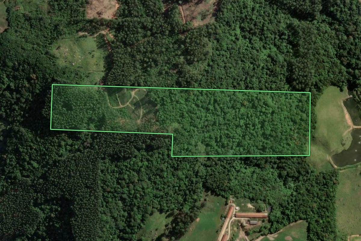 Imagem de satélite do imóvel rural em Armazém (SC), com o contorno declarado no CAR desenhado por cima.