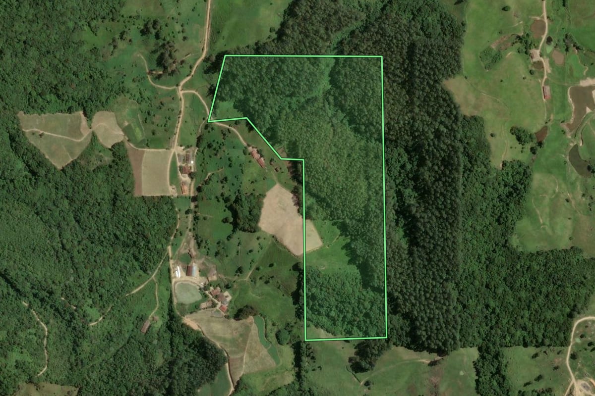 Imagem de satélite do imóvel rural em Armazém (SC), com o contorno declarado no CAR desenhado por cima.