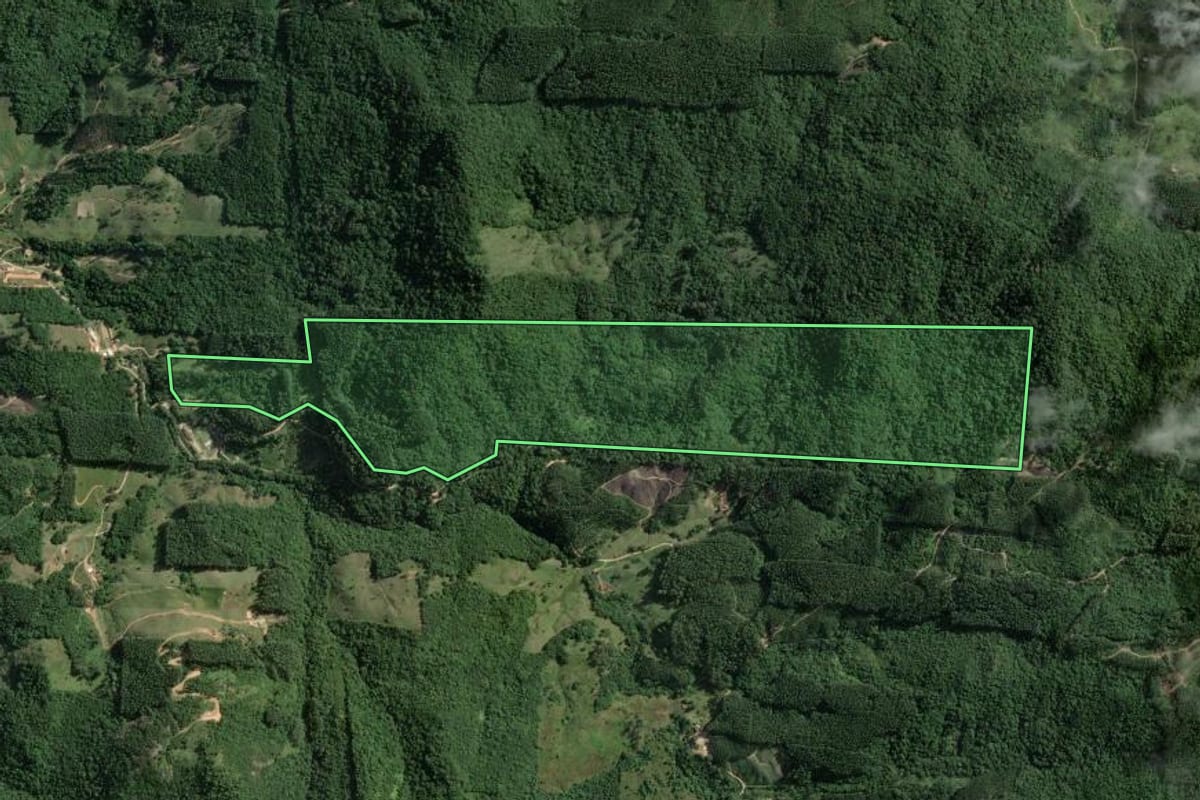 Imagem de satélite do imóvel rural em Armazém (SC), com o contorno declarado no CAR desenhado por cima.
