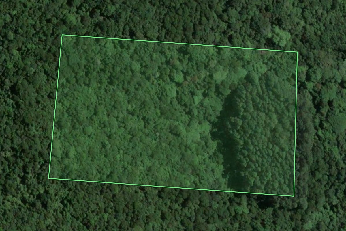 Imagem de satélite do imóvel rural em Armazém (SC), com o contorno declarado no CAR desenhado por cima.