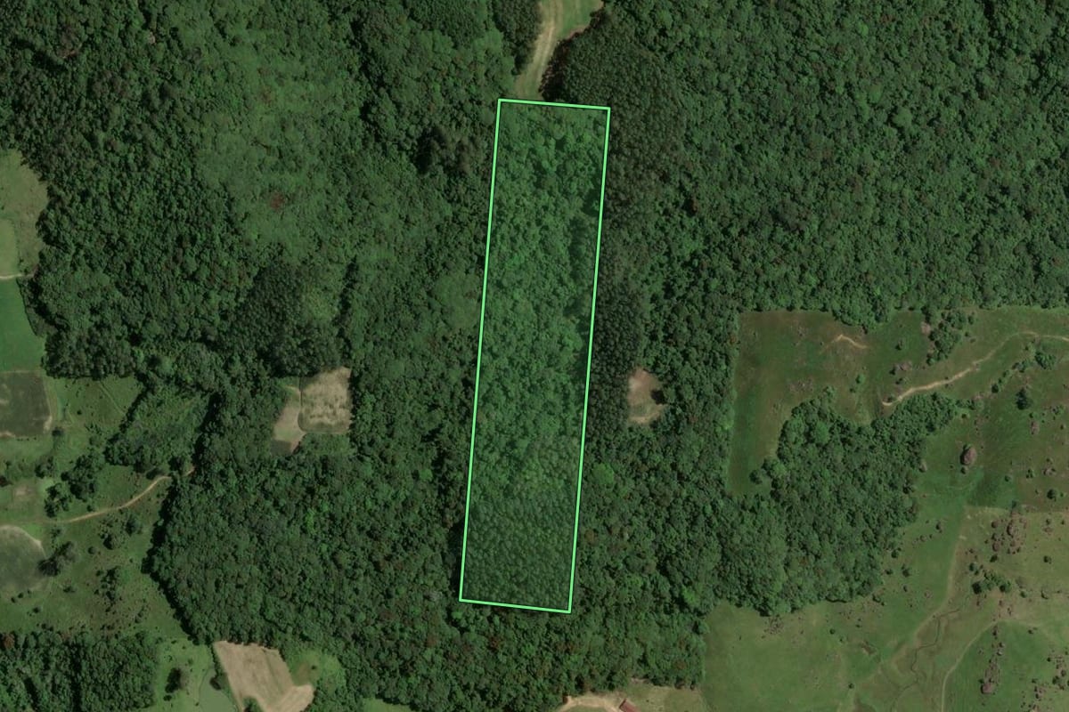 Imagem de satélite do imóvel rural em Armazém (SC), com o contorno declarado no CAR desenhado por cima.