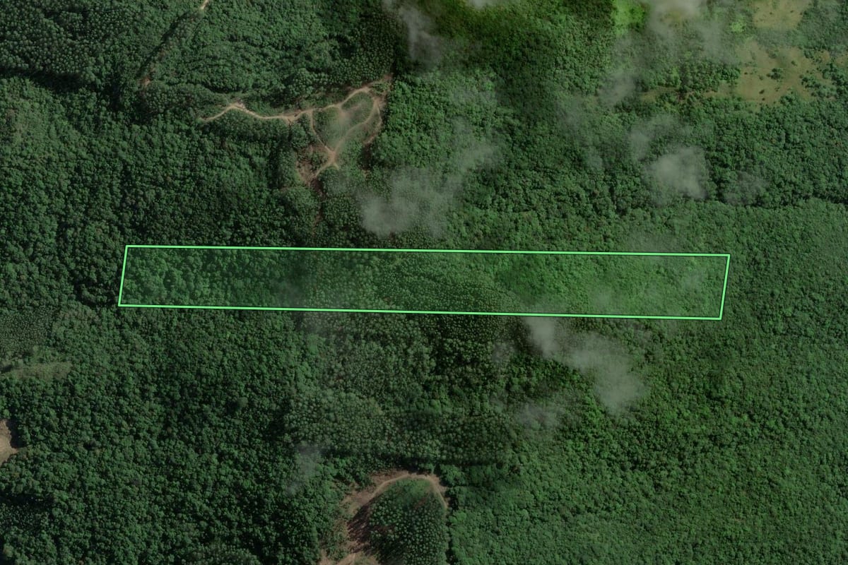 Imagem de satélite do imóvel rural em Armazém (SC), com o contorno declarado no CAR desenhado por cima.