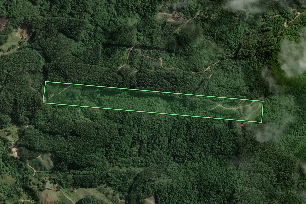 Imagem de satélite do imóvel rural em Armazém (SC), com o contorno declarado no CAR desenhado por cima.