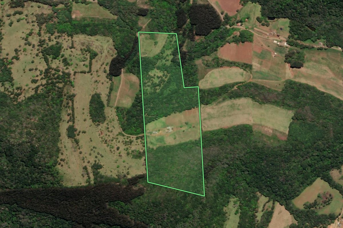 Imagem de satélite do imóvel rural em Arroio Trinta (SC), com o contorno declarado no CAR desenhado por cima.