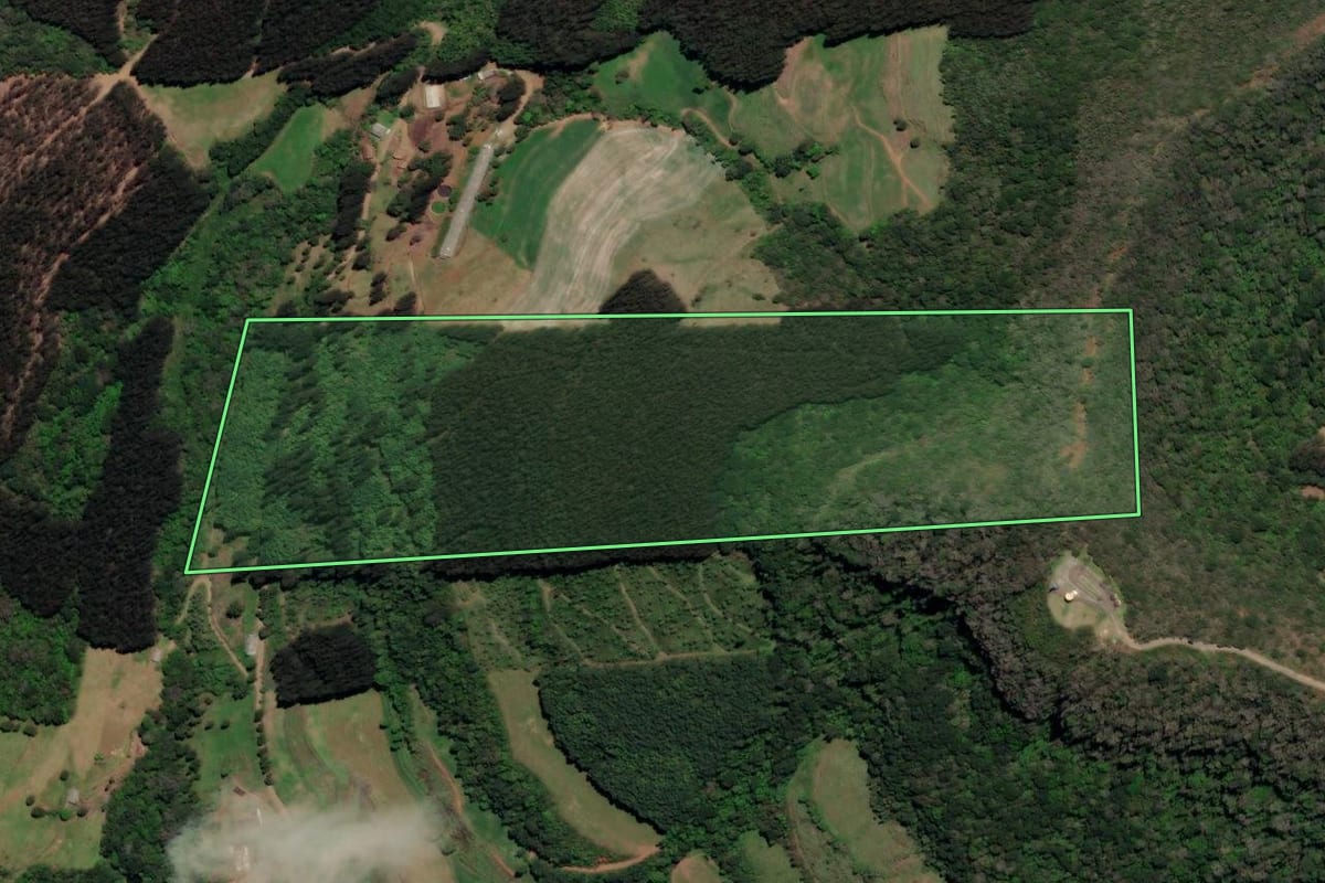 Imagem de satélite do imóvel rural em Arroio Trinta (SC), com o contorno declarado no CAR desenhado por cima.