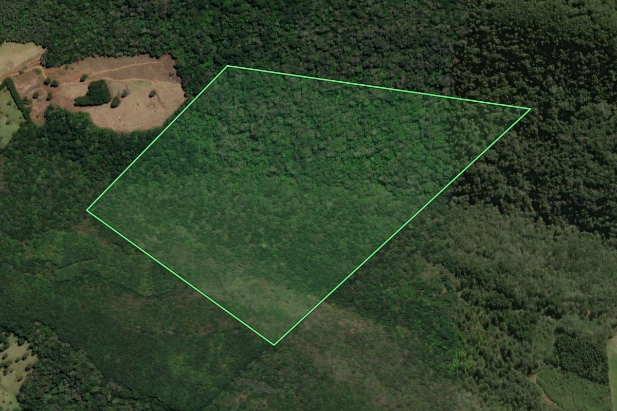 Imagem de satélite do imóvel rural em Arroio Trinta (SC), com o contorno declarado no CAR desenhado por cima.