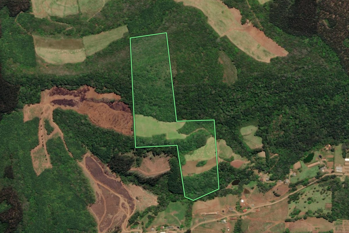 Imagem de satélite do imóvel rural em Arroio Trinta (SC), com o contorno declarado no CAR desenhado por cima.