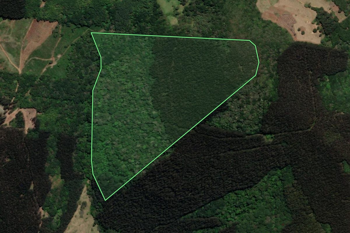 Imagem de satélite do imóvel rural em Arroio Trinta (SC), com o contorno declarado no CAR desenhado por cima.